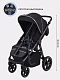 Коляска прогулочная Rant Caspia 2.0 2025