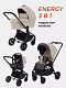 Коляска универсальная Rant Energy 2024