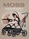 Коляска 2 в 1 RANT MOSS