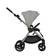Коляска ANEX iQ Premium 2 в 1 Silvé