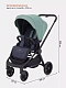 Коляска прогулочная Rant Energy