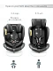 Автокресло детское CHAMPION, Isofix класс D, группа 0+/1/2/3 черный
