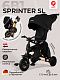 Велосипед трехколесный Qplay S700-17 SPRINTER (Rider) SL Black (Rub/Gold)