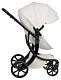 Коляска-трансформер Aimile pro new
