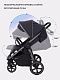 Коляска прогулочная Rant Caspia 2.0 2025