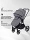 Коляска универсальная 2 в 1 Rant TEO
