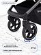 Коляска прогулочная Rant Caspia 2.0 2025
