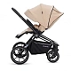 Детская коляска 2 в 1 RAIZ new