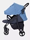 Коляска прогулочная Rant Basic Kira
