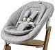 Стульчик для кормления Carrello Focus, Whisper Grey