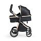 Коляска-трансформер 2в1 Ranger Black Gold