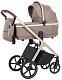 Коляска 2 в 1 Carrello Vector 2026