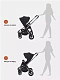Коляска прогулочная Rant Flex Pro 2023