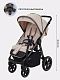 Коляска прогулочная Rant Caspia 2.0 2025