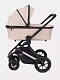 Коляска RANT AXIOM