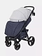 Коляска прогулочная Rant Basic Alpine