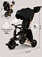 Велосипед трехколесный Qplay S700-17 SPRINTER (Rider) SL Black (Rub/Gold)