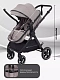 Коляска-трансформер Rant Basic Roller 2024