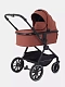 Коляска 2 в 1 RANT MOSS