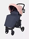 Коляска прогулочная Rant Basic Kira