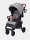 Коляска прогулочная Rant Vega 2023