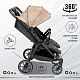 Прогулочная коляска Donna