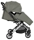 Коляска прогулочная детская Farfello Comfy Go Comfort Chrome