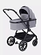 Коляска 2 в 1 RANT MOSS