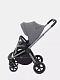 Коляска прогулочная Rant Flex Pro 2023