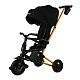Велосипед трехколесный Qplay S700-17 SPRINTER (Rider) SL Black (Rub/Gold)