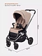 Коляска прогулочная Rant Flex Pro 2023