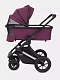 Коляска RANT AXIOM
