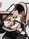 Коляска 2 в 1 RANT MOSS