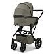 Коляска Moon Piu 2 в 1 Moss Green 2024