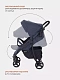 Коляска прогулочная Rant Basic Kira