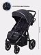 Коляска прогулочная Rant Caspia 2.0 2025