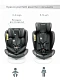 Автокресло детское CHAMPION, Isofix класс D, группа 0+/1/2/3 графит