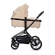 Детская коляска 2 в 1 RAIZ new