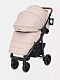 Коляска прогулочная Rant Vega 2023