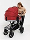 Коляска модульная 2в1 Zuma Duo Comfort