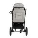 Прогулочная коляска Egoista Gray (Air)