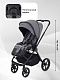 Коляска универсальная 2 в 1 Rant TEO