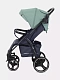 Коляска прогулочная Rant Basic Alpine