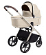 Коляска 2 в 1 Carrello Vector 2026