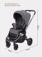 Коляска прогулочная Rant Flex Pro 2023