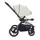 Детская коляска 2 в 1 RAIZ new