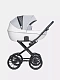 Коляска универсальная 2 в 1 Riko Basic Pacco Classic