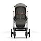 Прогулочная коляска Cybex Gazelle S TPE