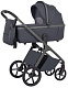 Коляска 2 в 1 Carrello Vector 2026