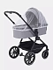 Коляска 2 в 1 RANT MOSS